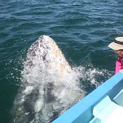 IMG 0001 2 (302)